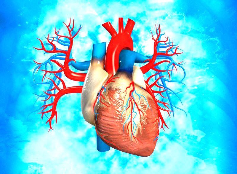 # 心血管病兰州哪所医院看的好相关图片