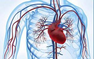 心血管病治疗原则相关图片