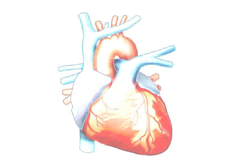 # 心血管病兰州哪所医院看的好相关图片