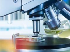 心血管夹层：一种严重的心血管疾病