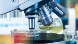 心血管夹层：一种严重的心血管疾病